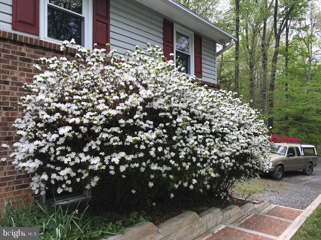 GAILA WOODS - Residential