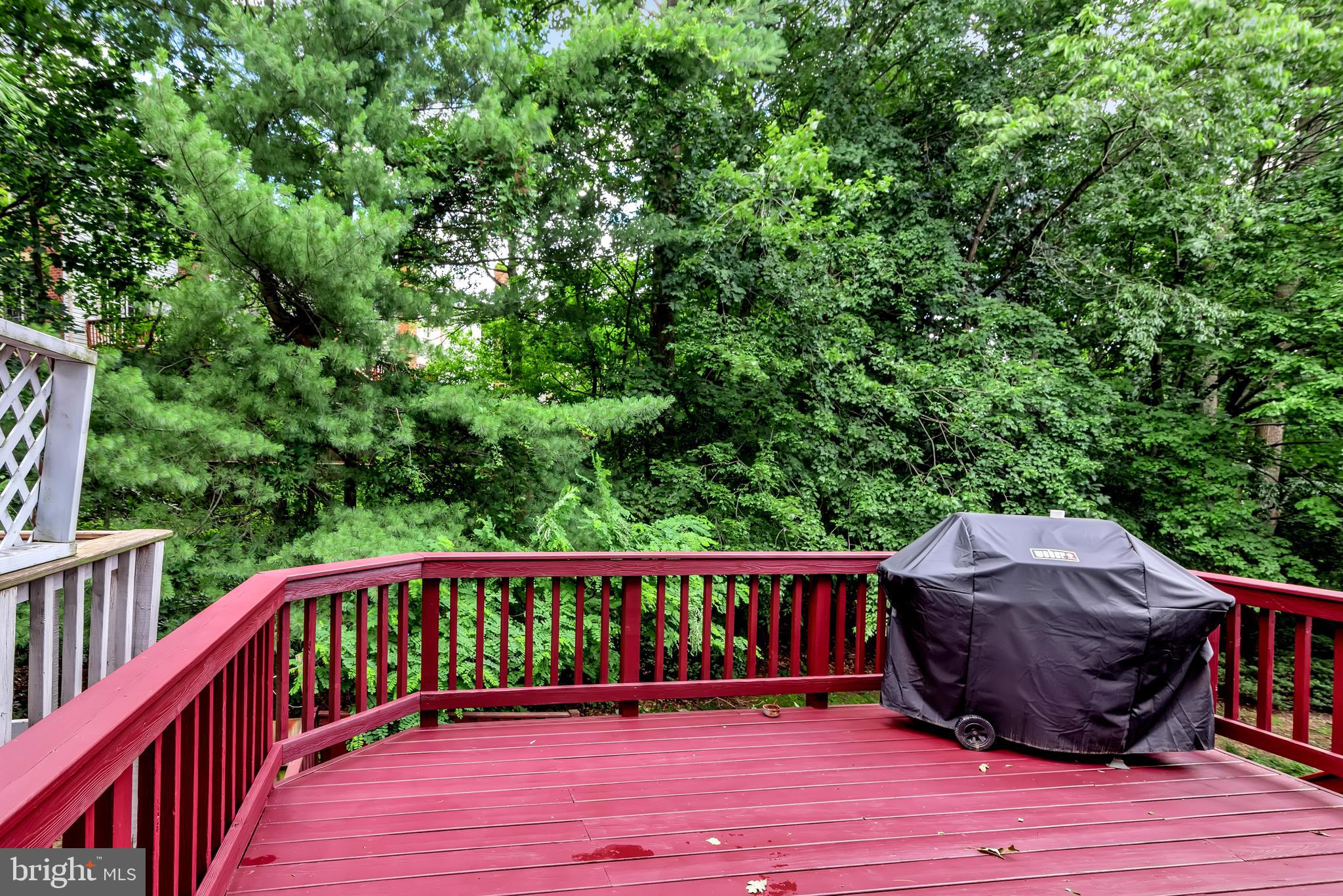 ROLLING FOREST - Residential