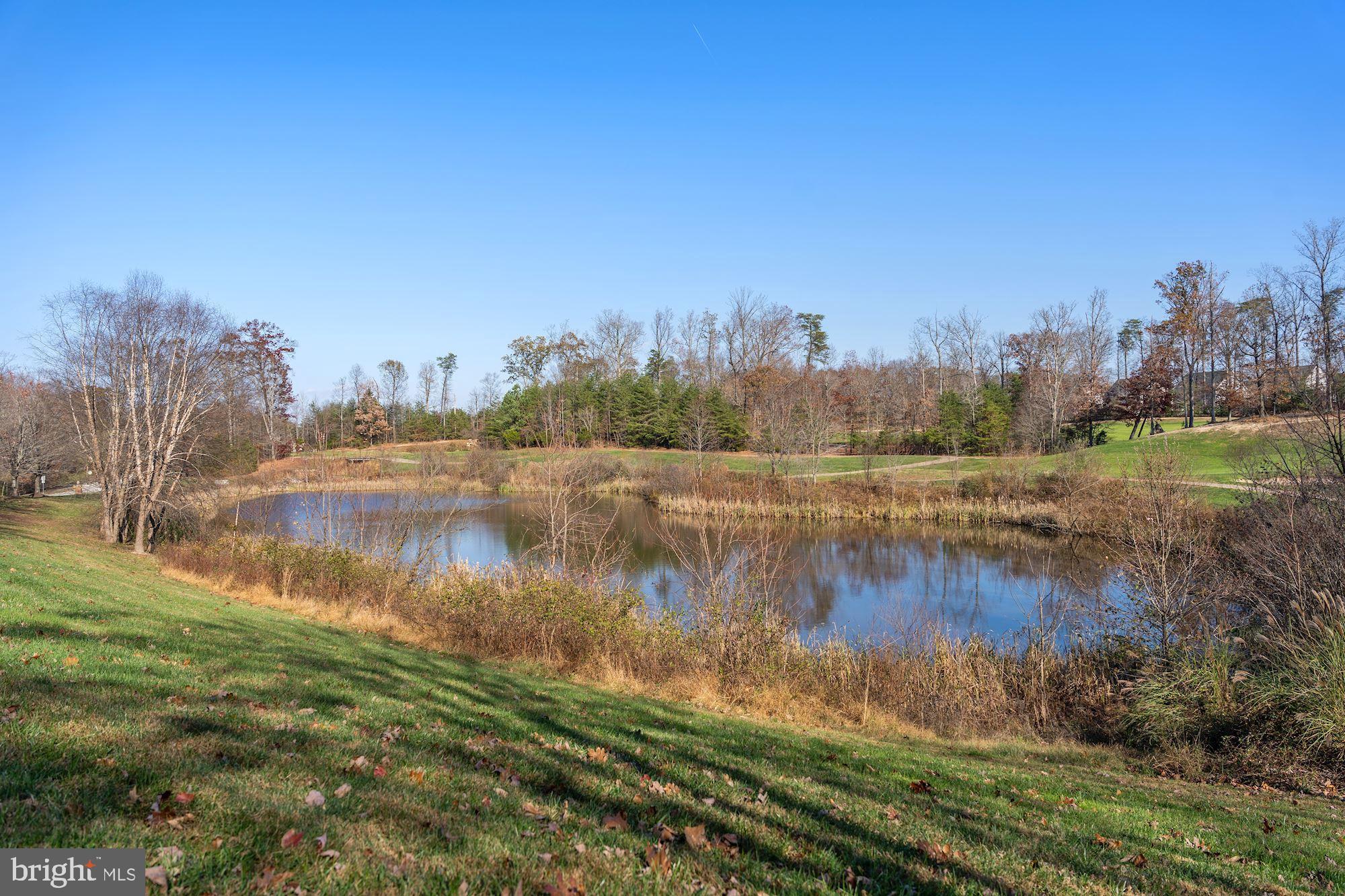 4615 BEAUFONT SPRING COURT