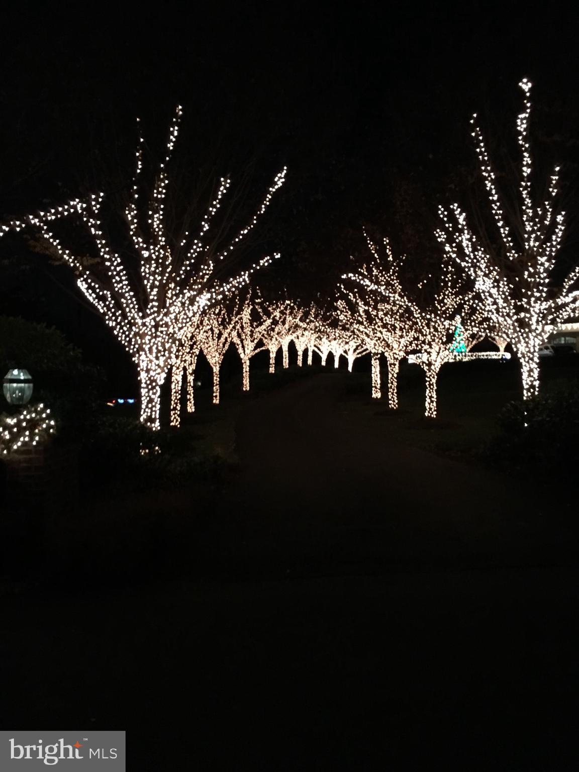 SADDLE RIDGE - Residential