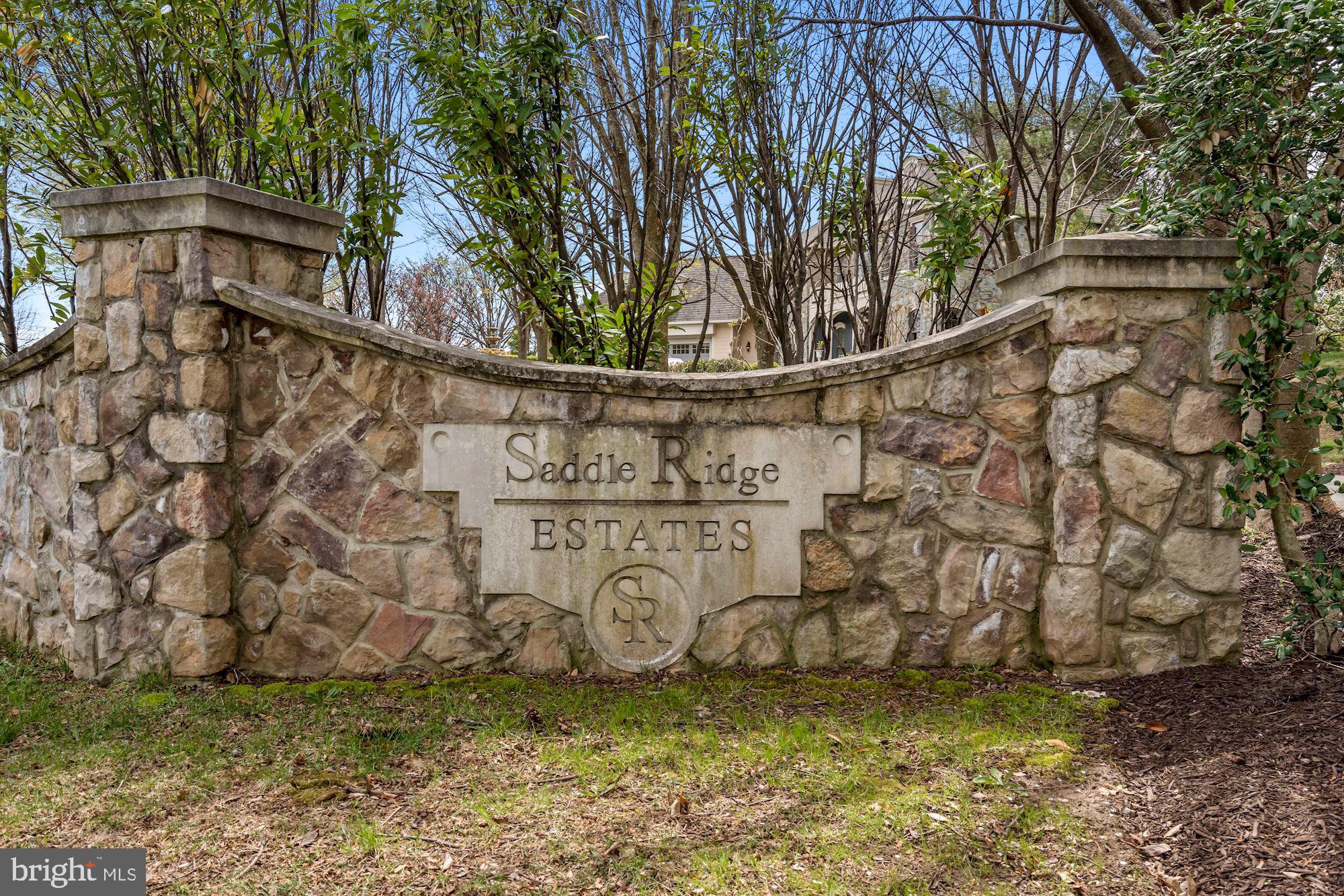 SADDLE RIDGE - Residential