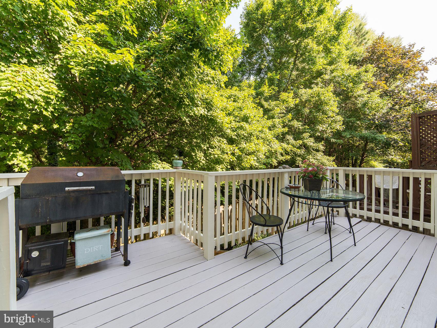 MAIN ST VILLAGE - Residential