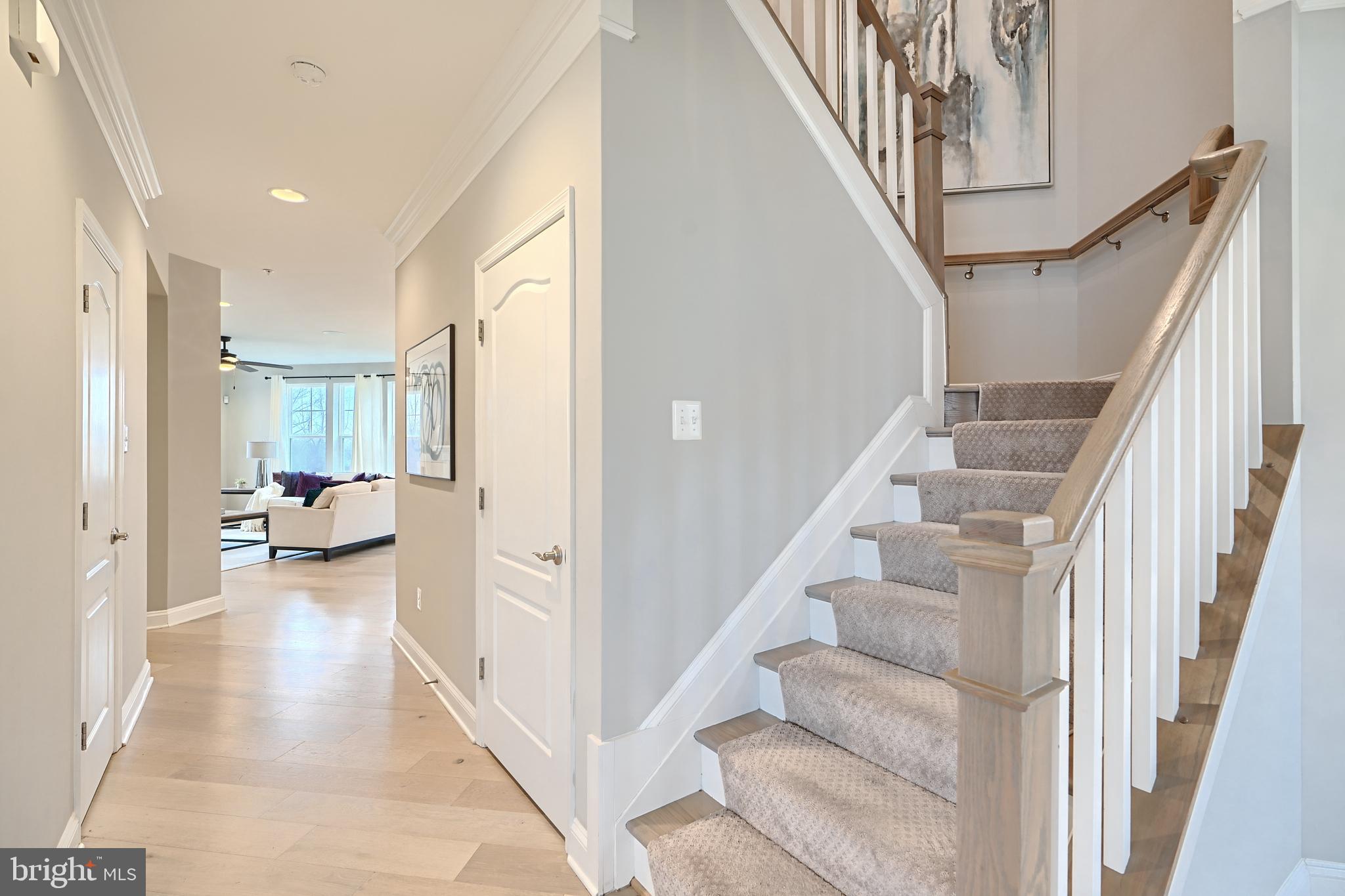 OLD COURT - Residential