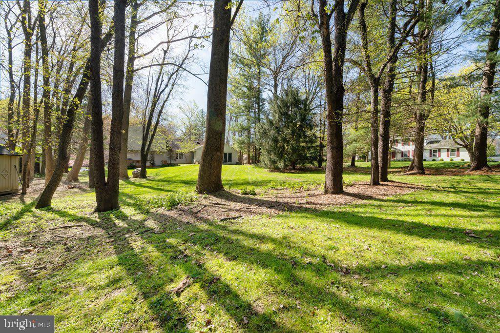 DORSEY SEARCH - Residential