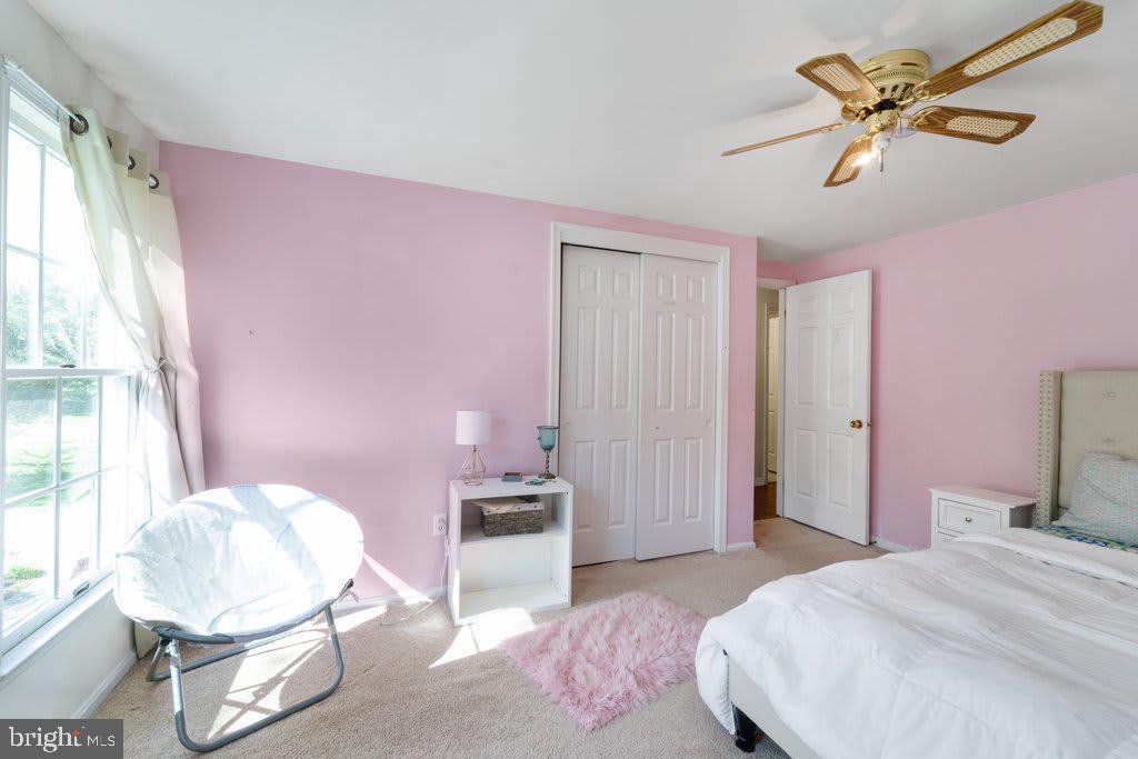 DORSEY SEARCH - Residential