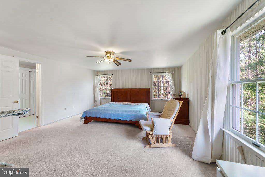 DORSEY SEARCH - Residential