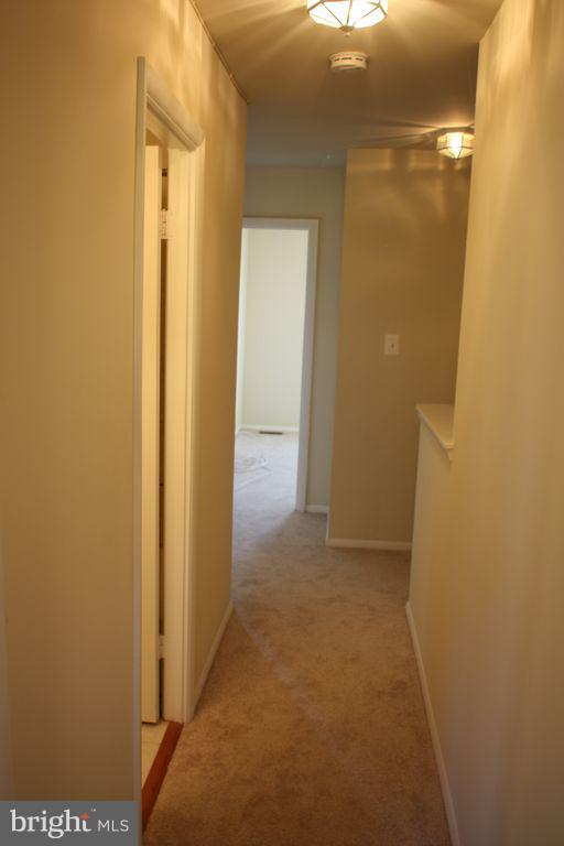 CASHELL MANOR - Residential Lease