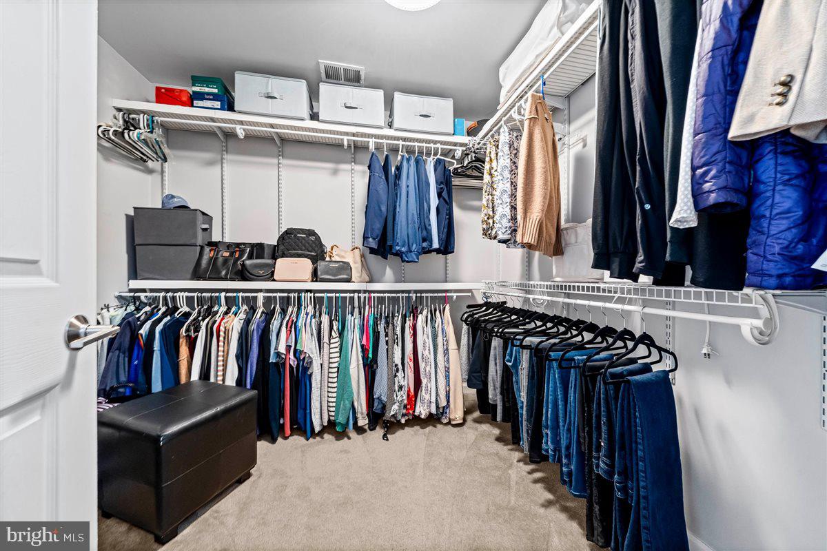 BRANDYWINE @ THORN - Residential