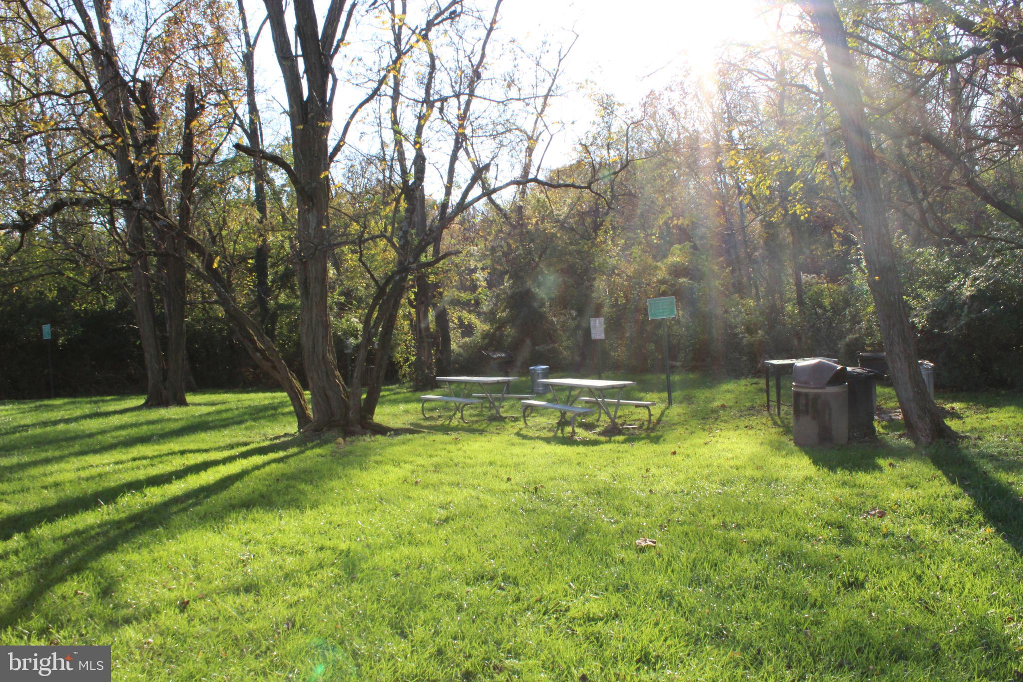 GEORGE MASON VILLAGE - Residential