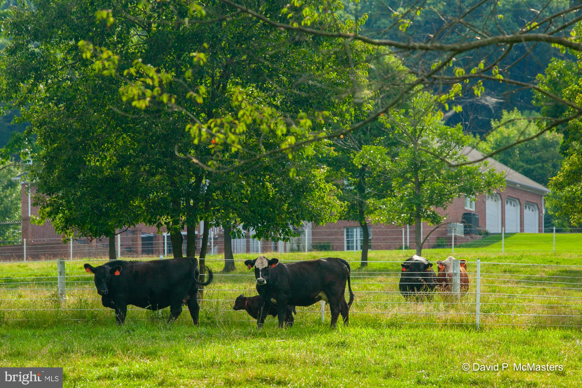 THE MEADOWS AT SLEEPY CREEK - Residential