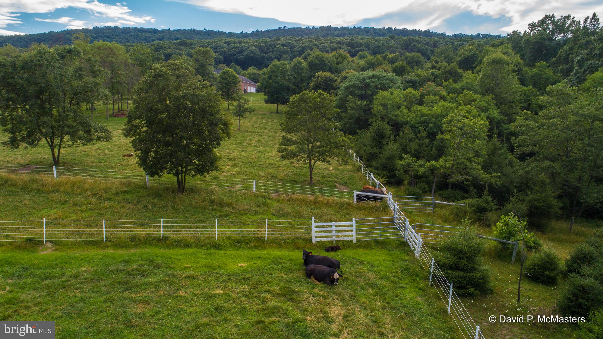 THE MEADOWS AT SLEEPY CREEK - Residential