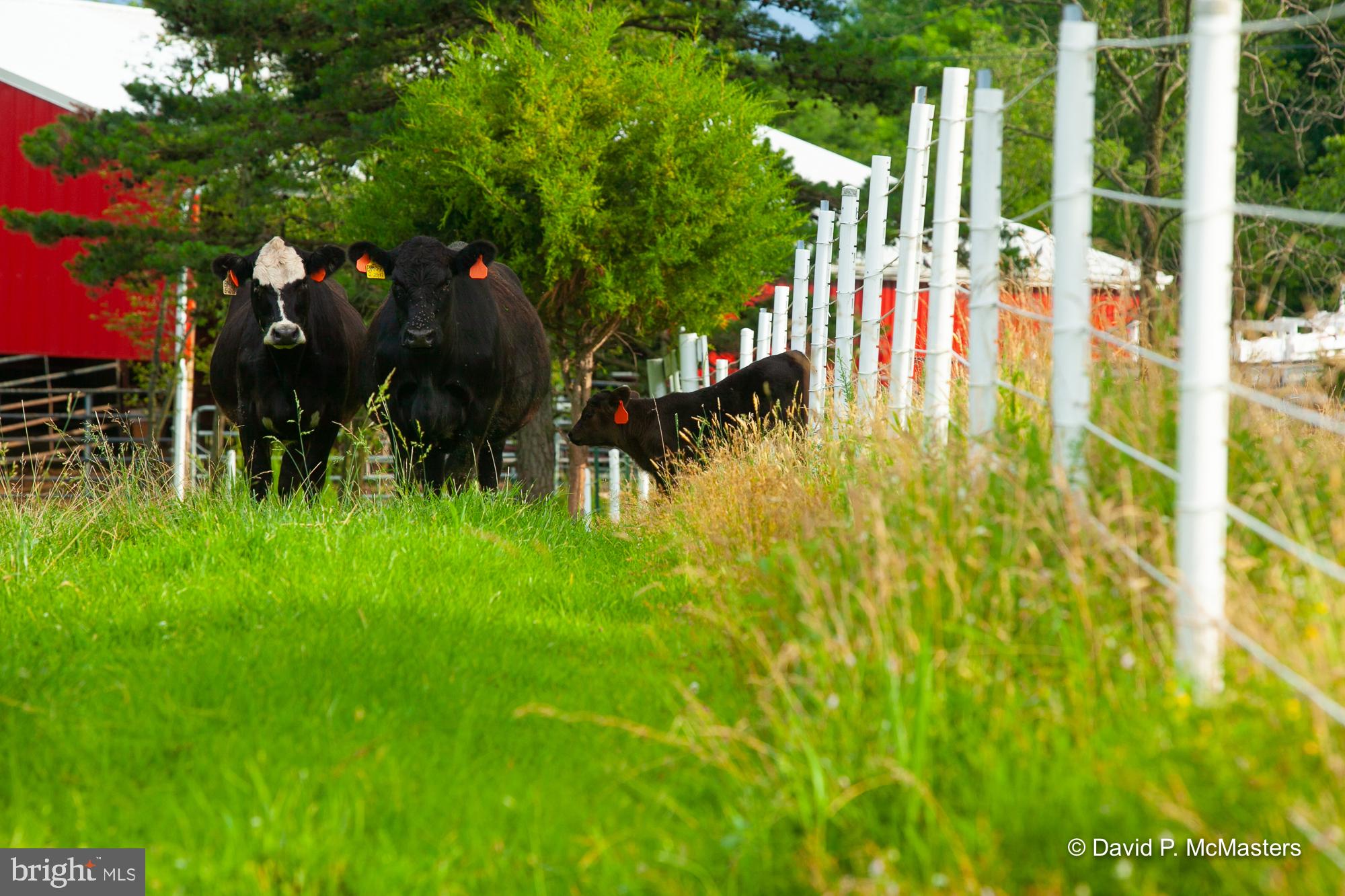 THE MEADOWS AT SLEEPY CREEK - Residential