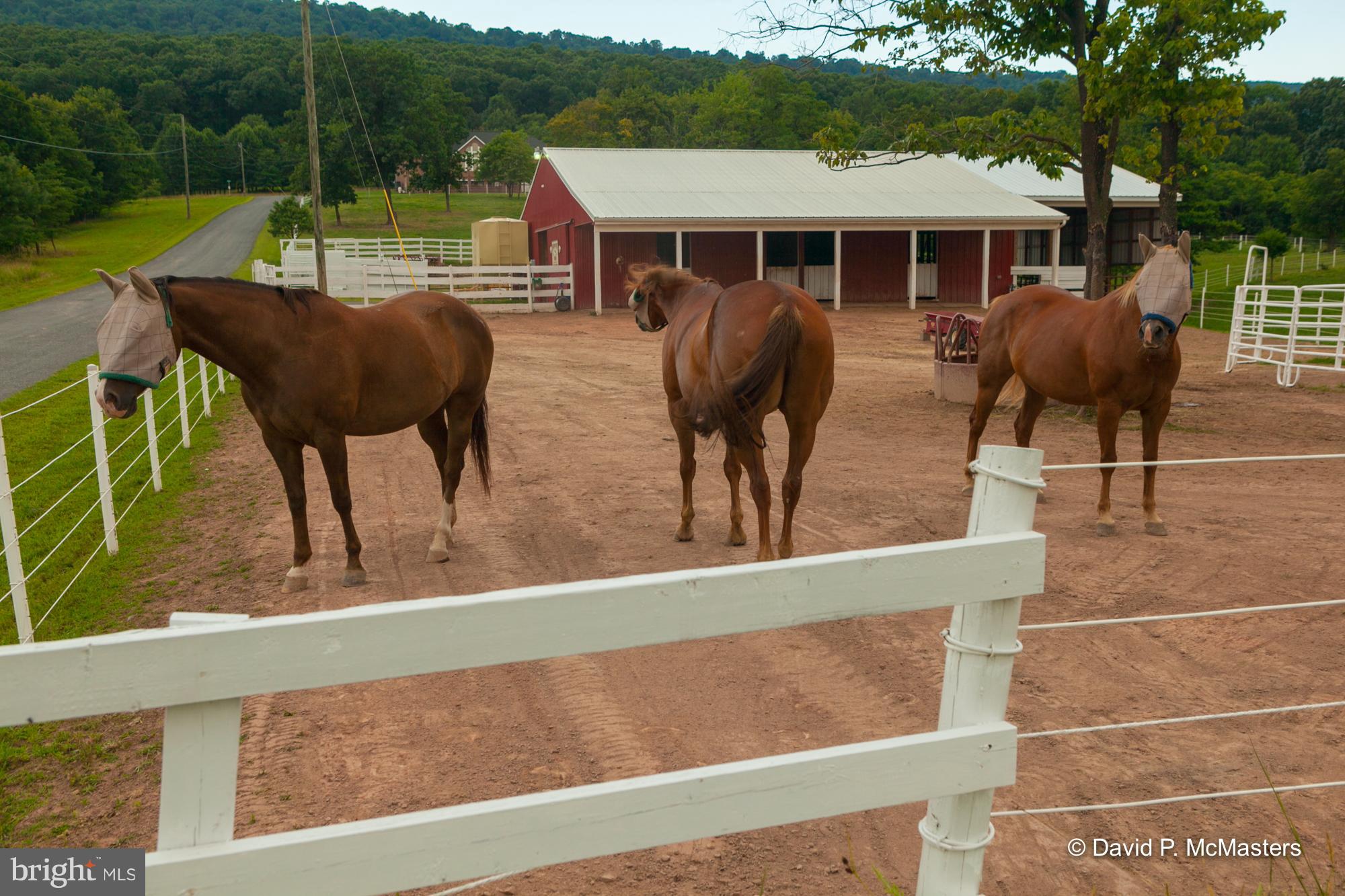 THE MEADOWS AT SLEEPY CREEK - Residential