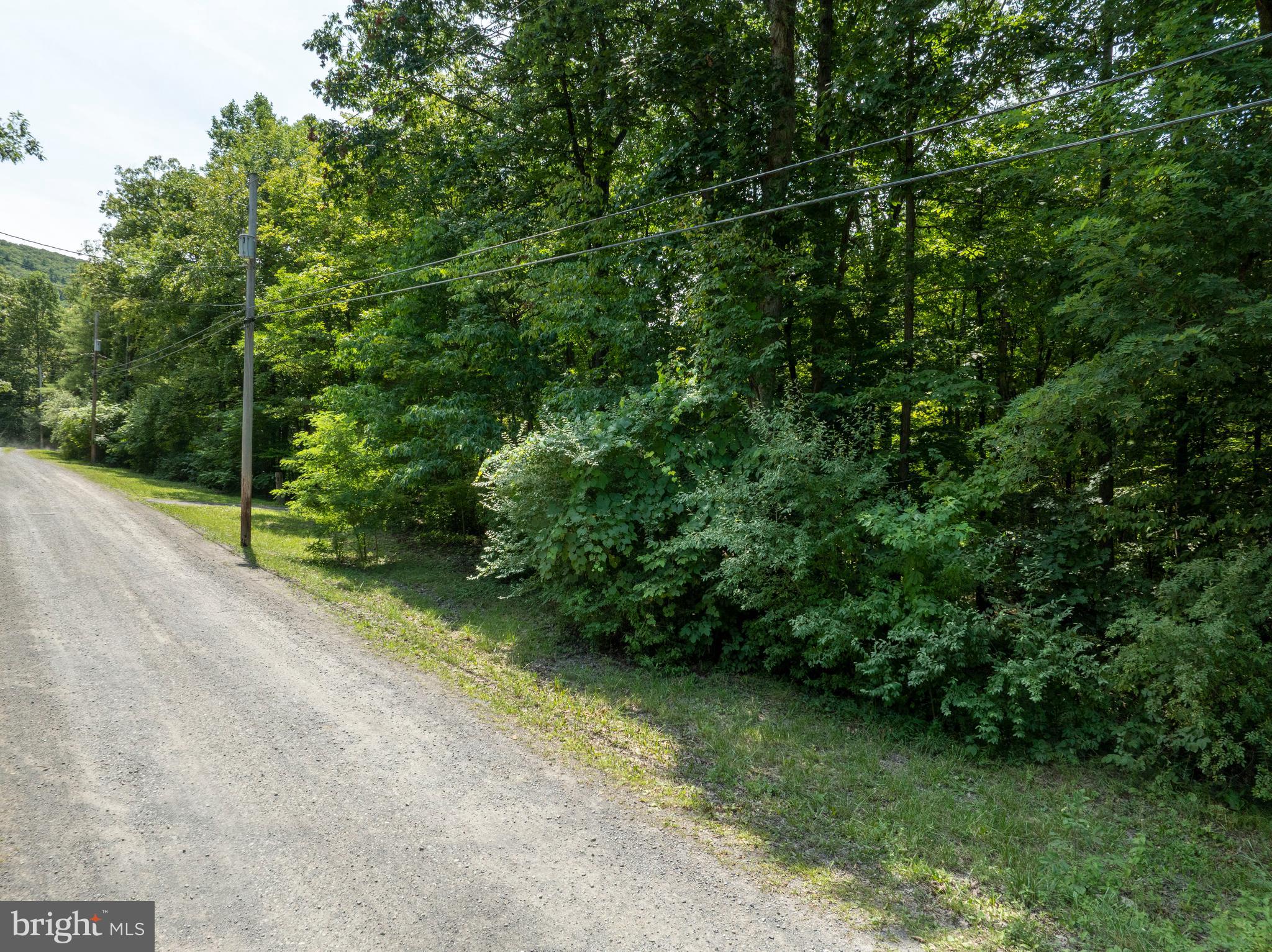 Lot 5 BALD EAGLE FOREST ROAD