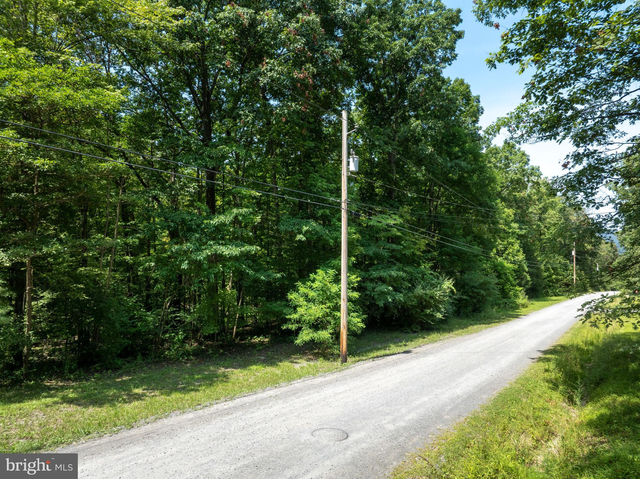 Lot 5 BALD EAGLE FOREST ROAD