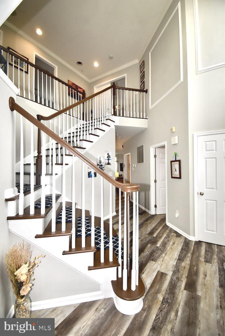 RIDGELY FOREST - Residential