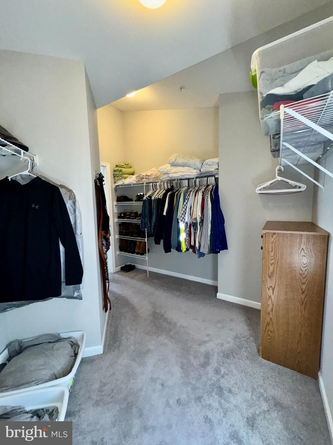 RIDGELY FOREST - Residential