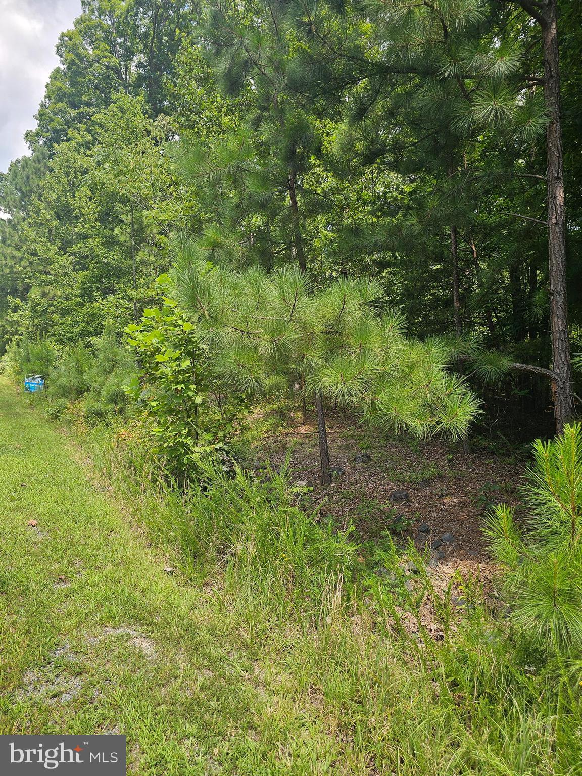 THE WATERS AT LAKE ANNA - Land