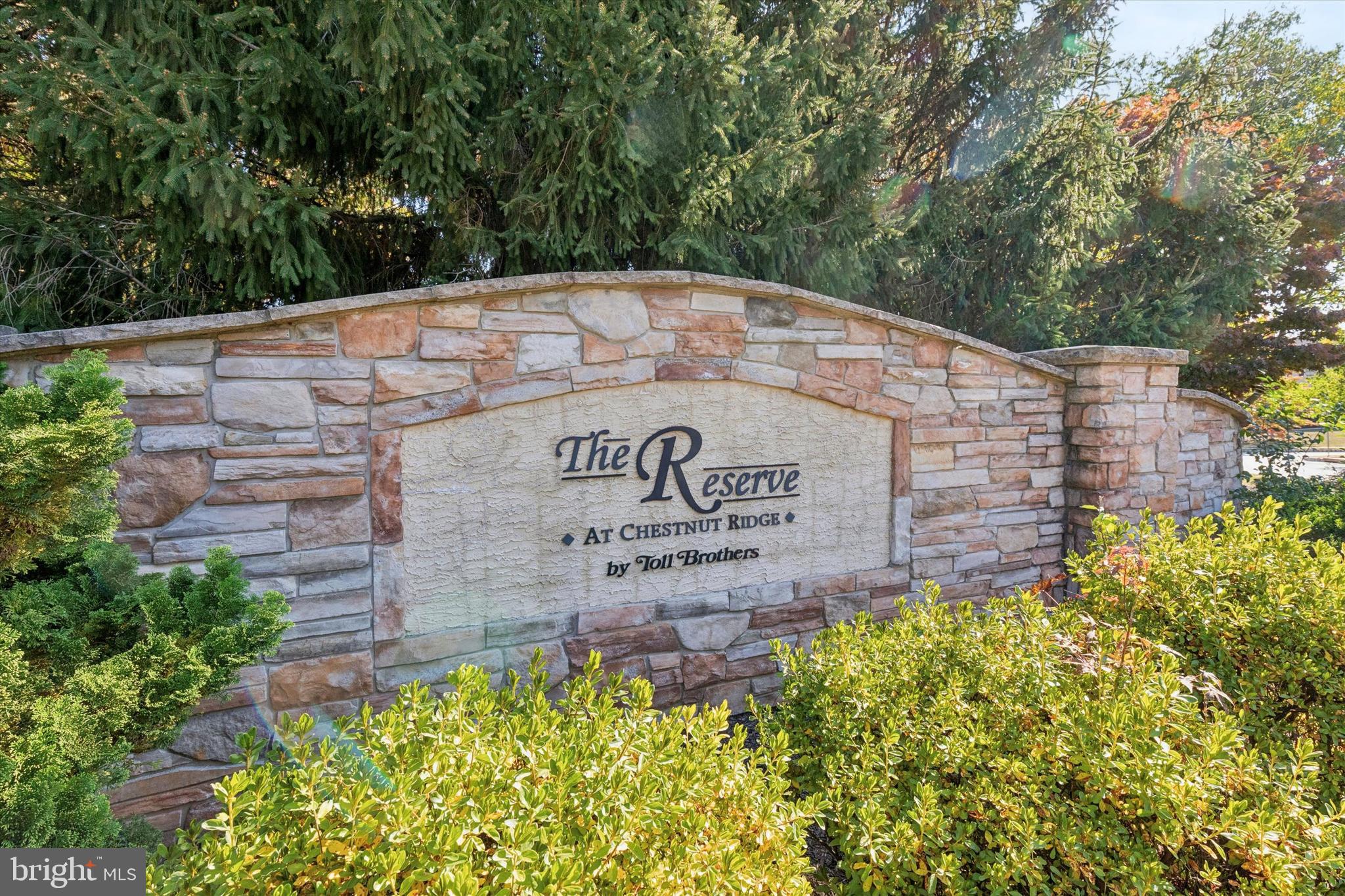 THE RESERVE AT CH - Residential