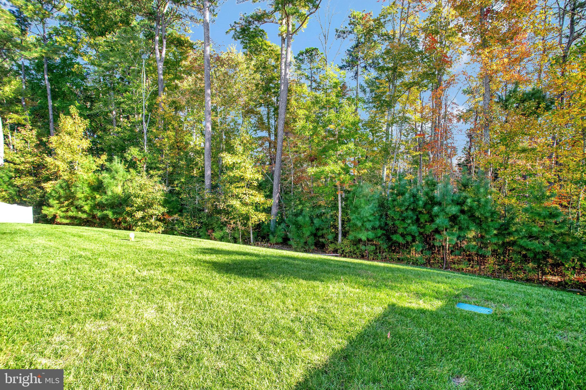 MAGNOLIA PARK AT WILDEWOOD - Residential