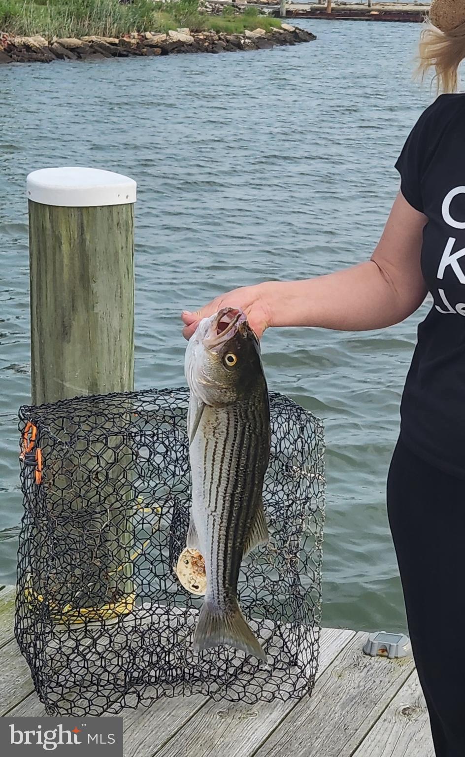 FISHING CREEK - Residential