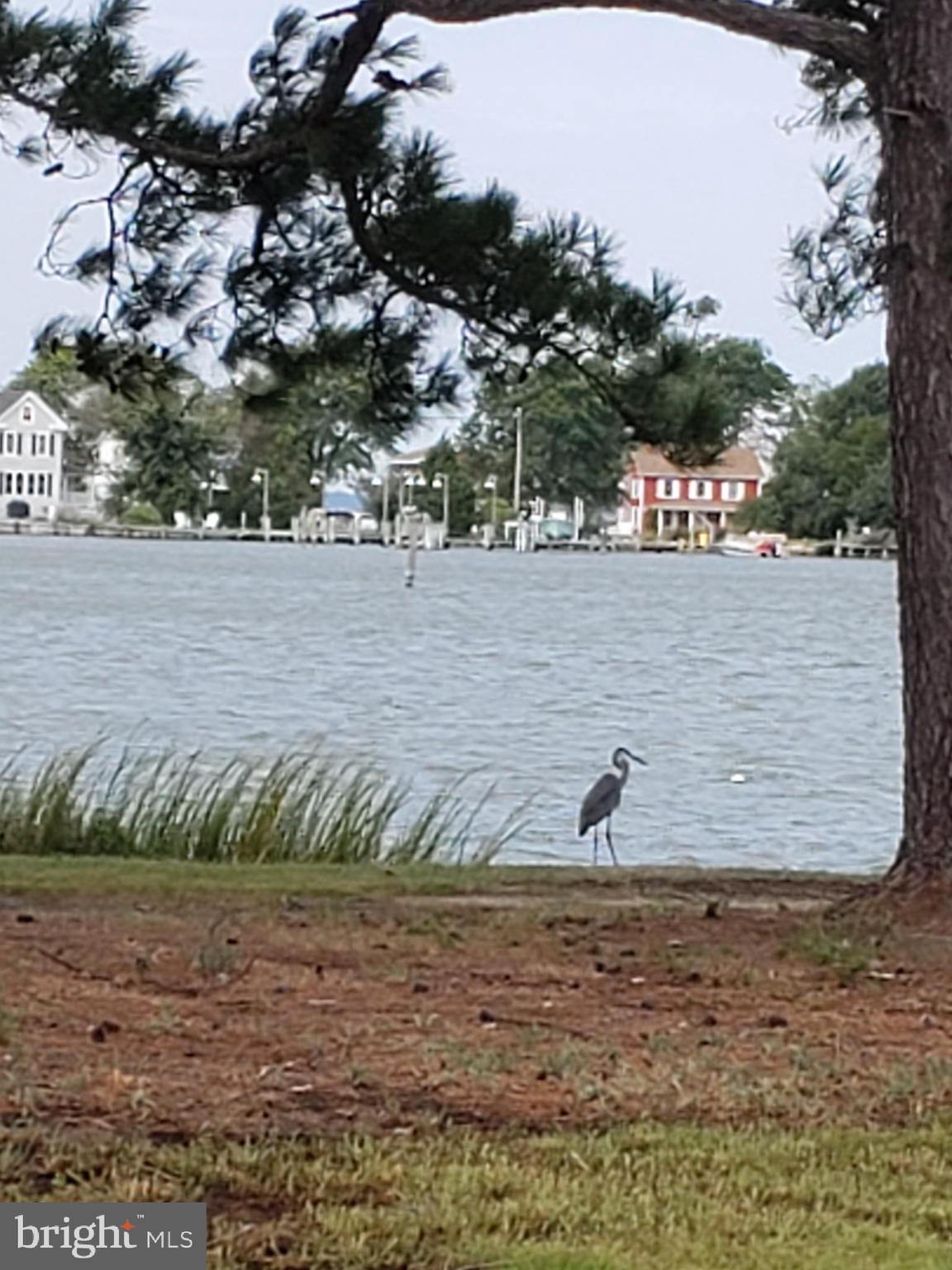FISHING CREEK - Residential