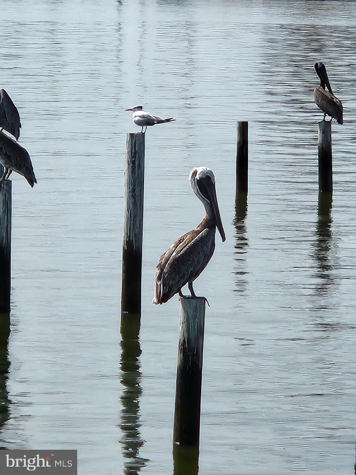 FISHING CREEK - Residential