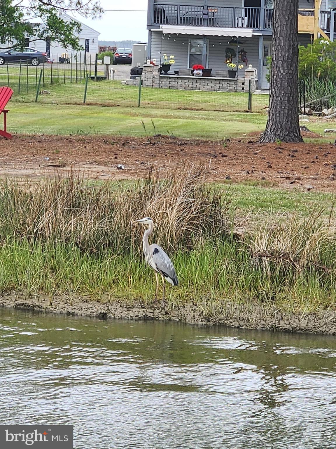 FISHING CREEK - Residential
