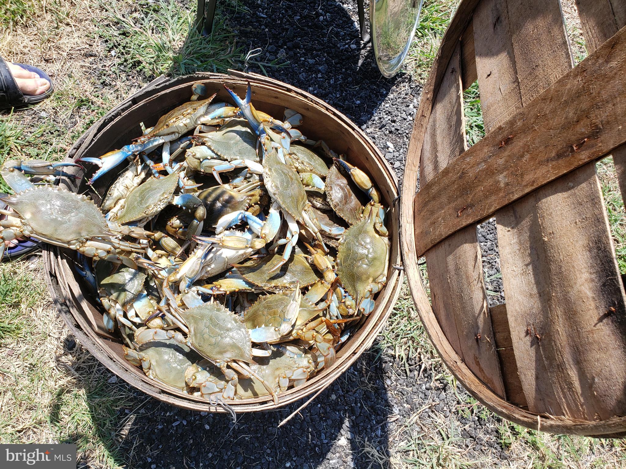 FISHING CREEK - Residential