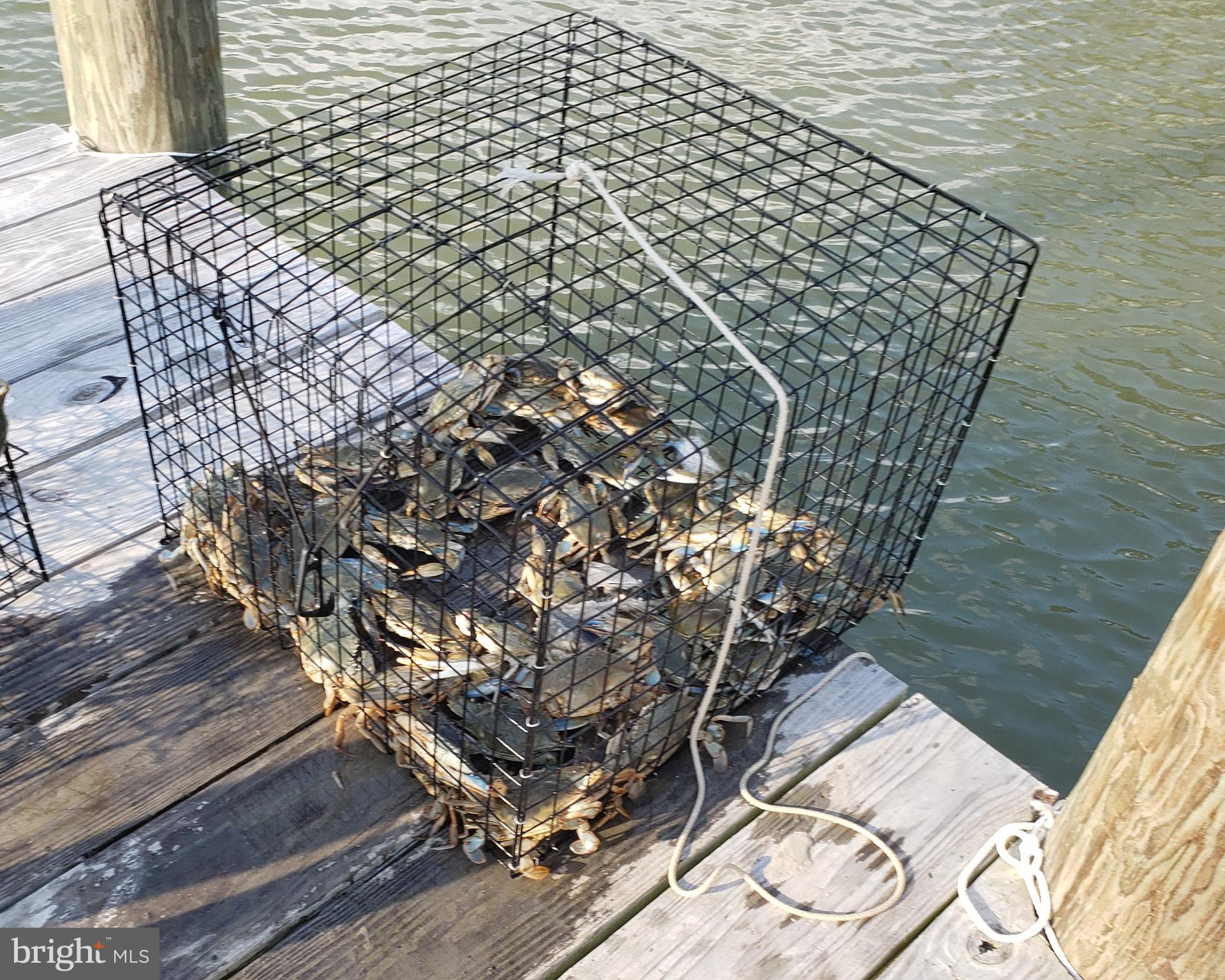 FISHING CREEK - Residential