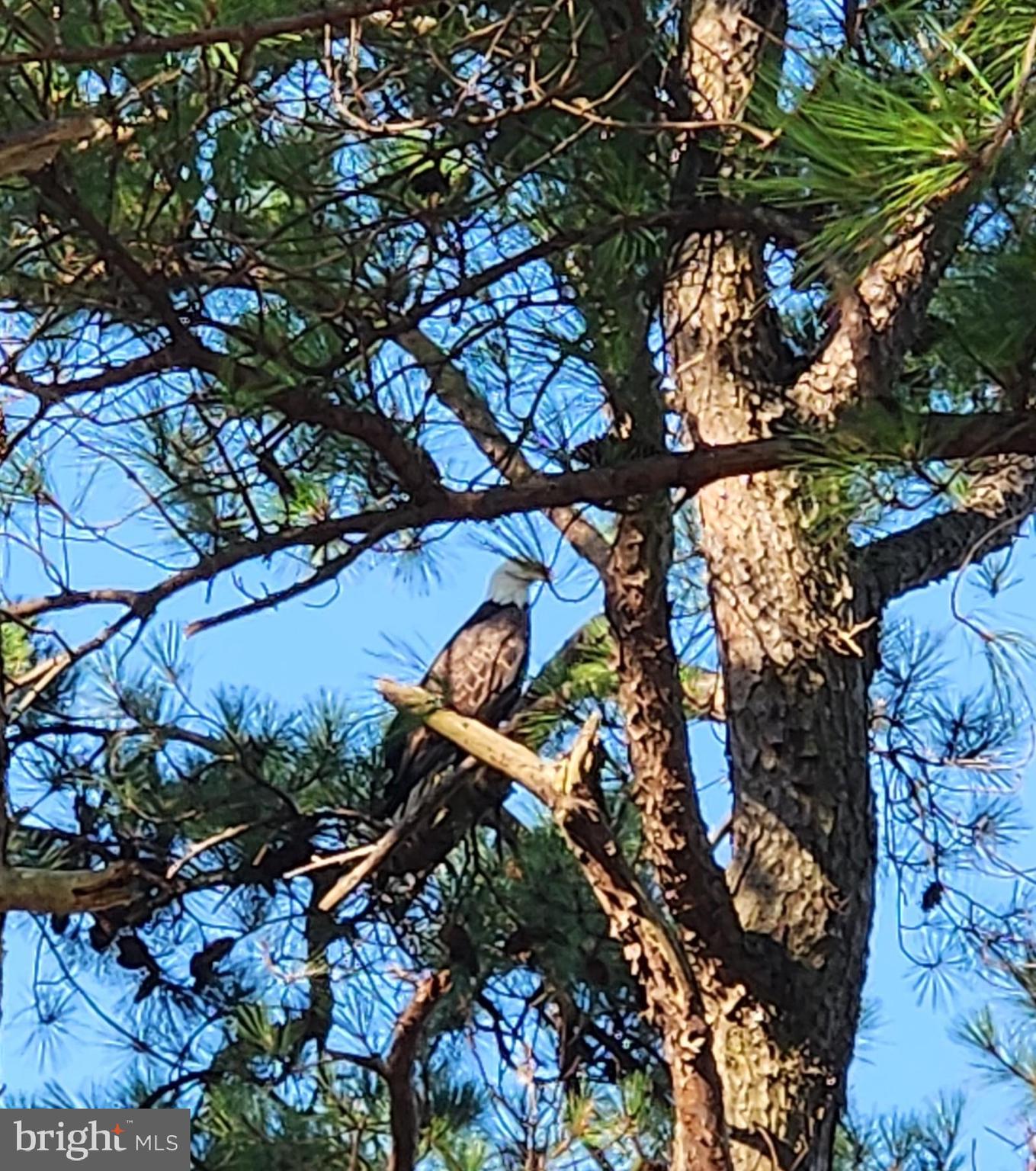 FISHING CREEK - Residential