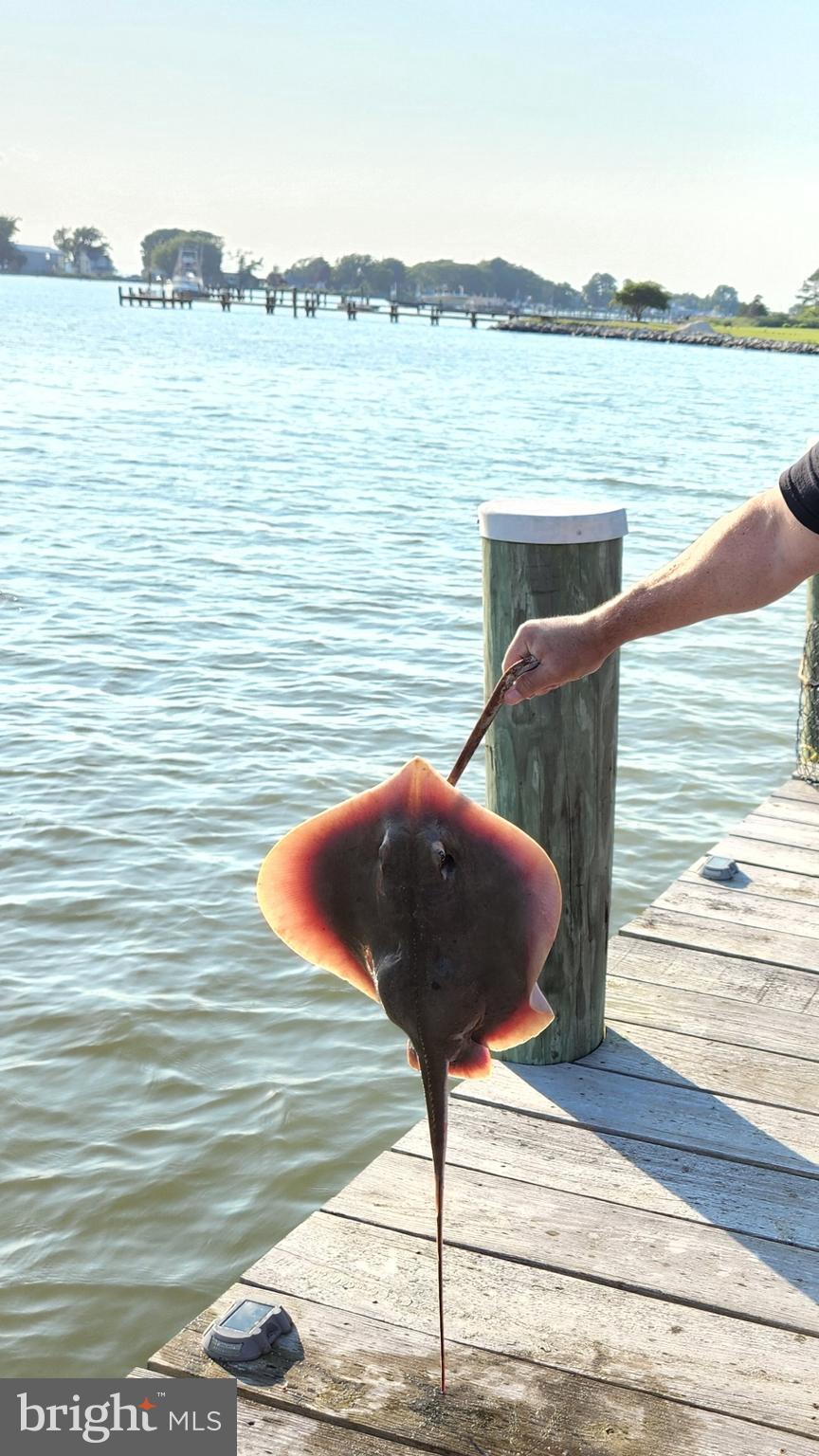 FISHING CREEK - Residential