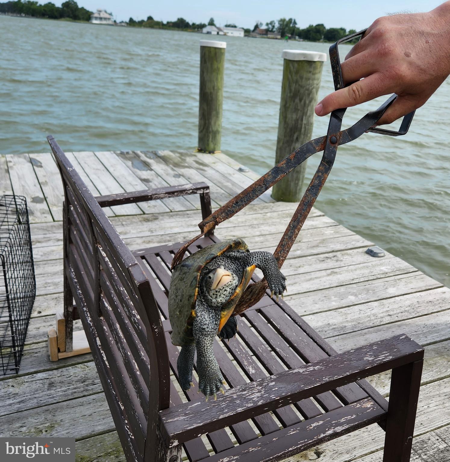 FISHING CREEK - Residential