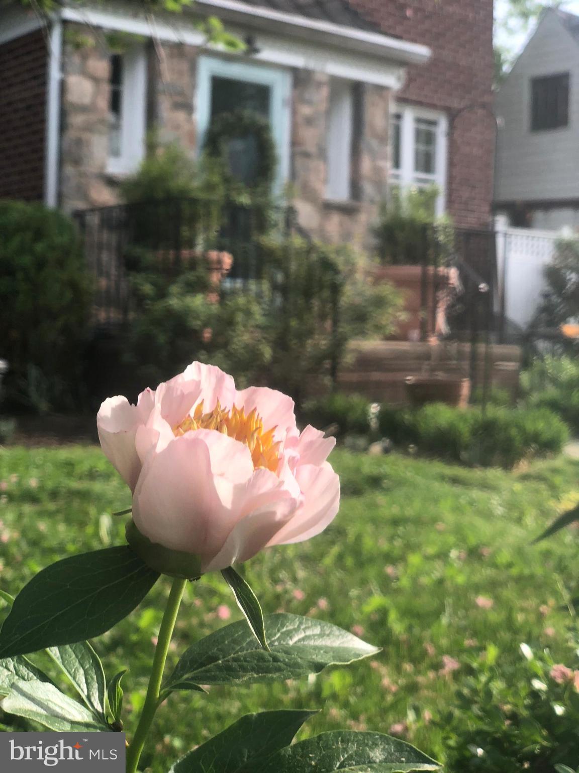 DEL RAY - Residential Lease