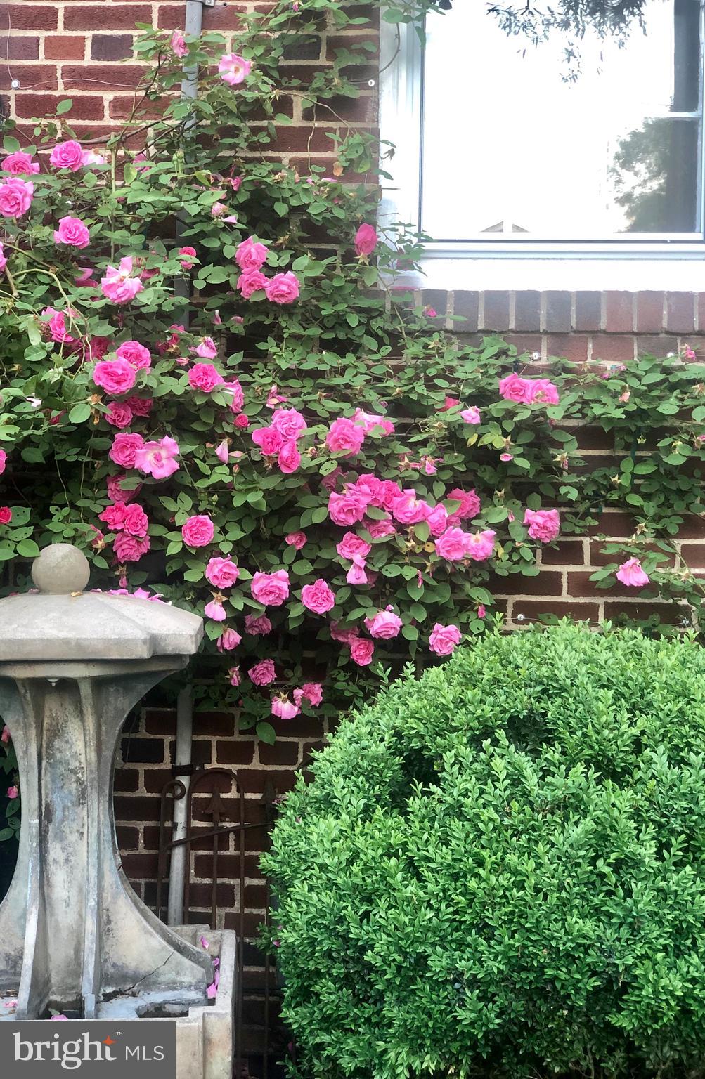 DEL RAY - Residential Lease