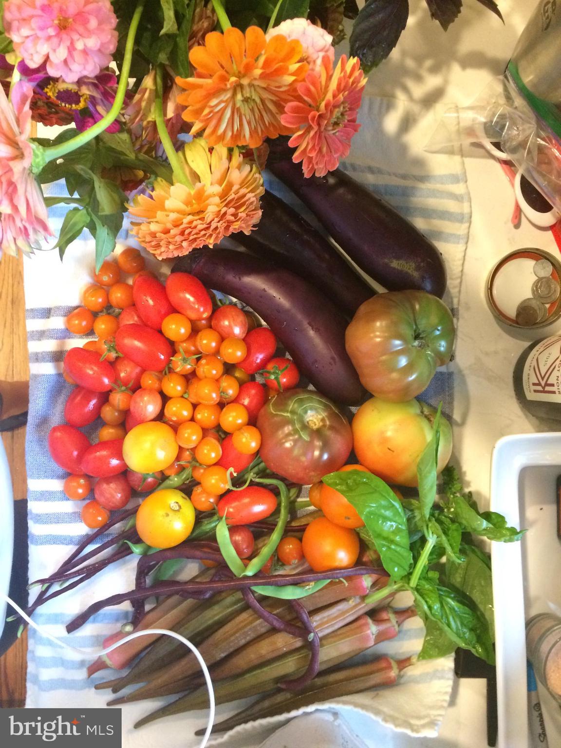 DEL RAY - Residential Lease