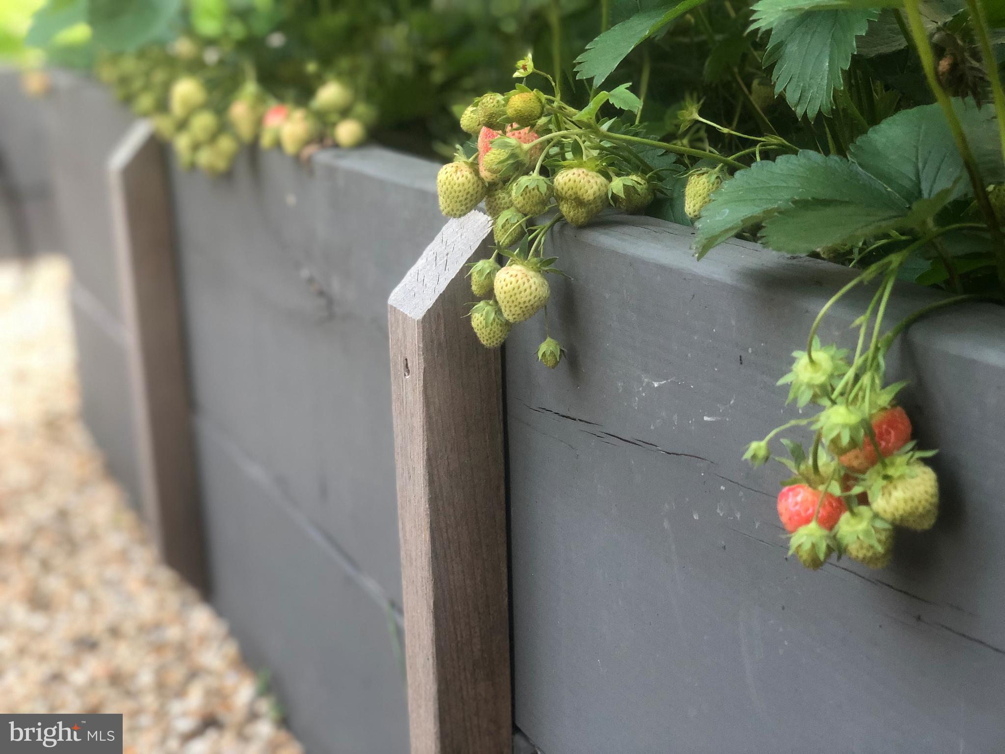 DEL RAY - Residential Lease