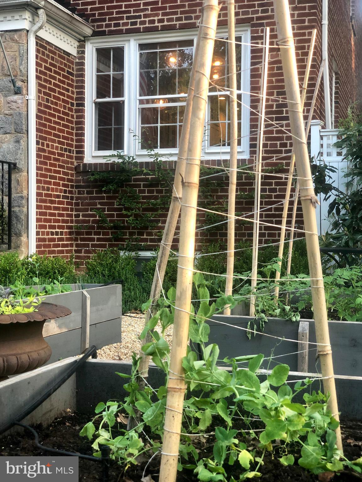 DEL RAY - Residential Lease