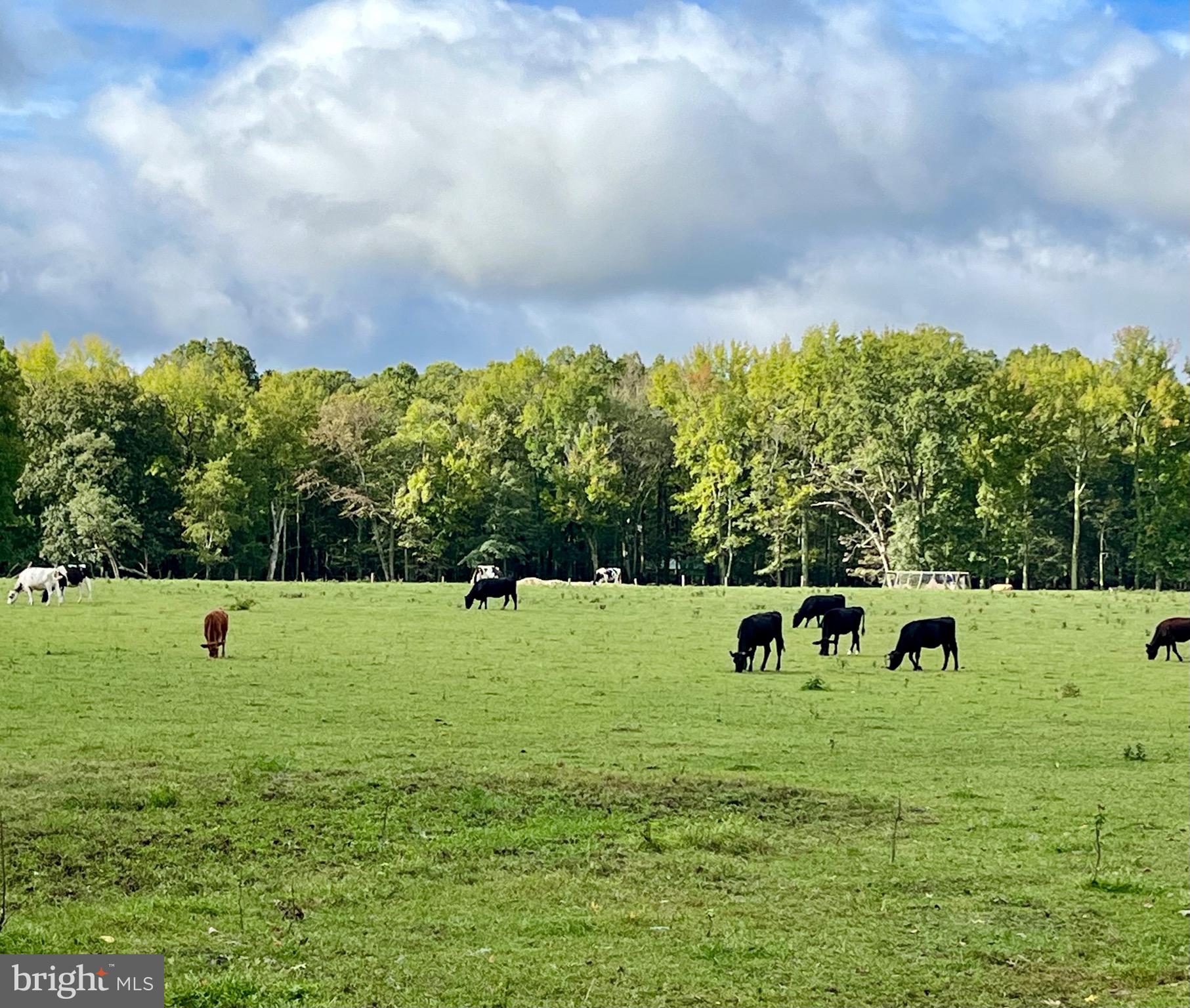 MOYAONE RESERVE - Residential
