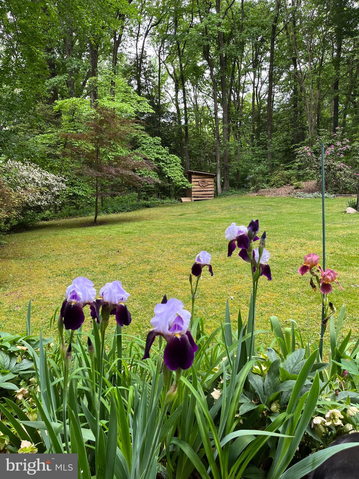 MOYAONE RESERVE - Residential