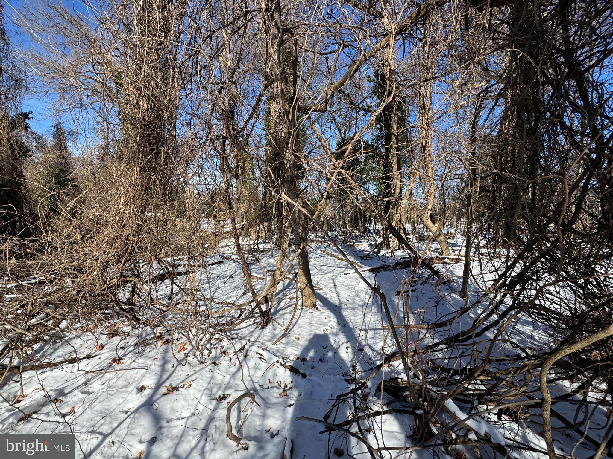 TRACT 2: 0.42+/- ACRES OAK STREET