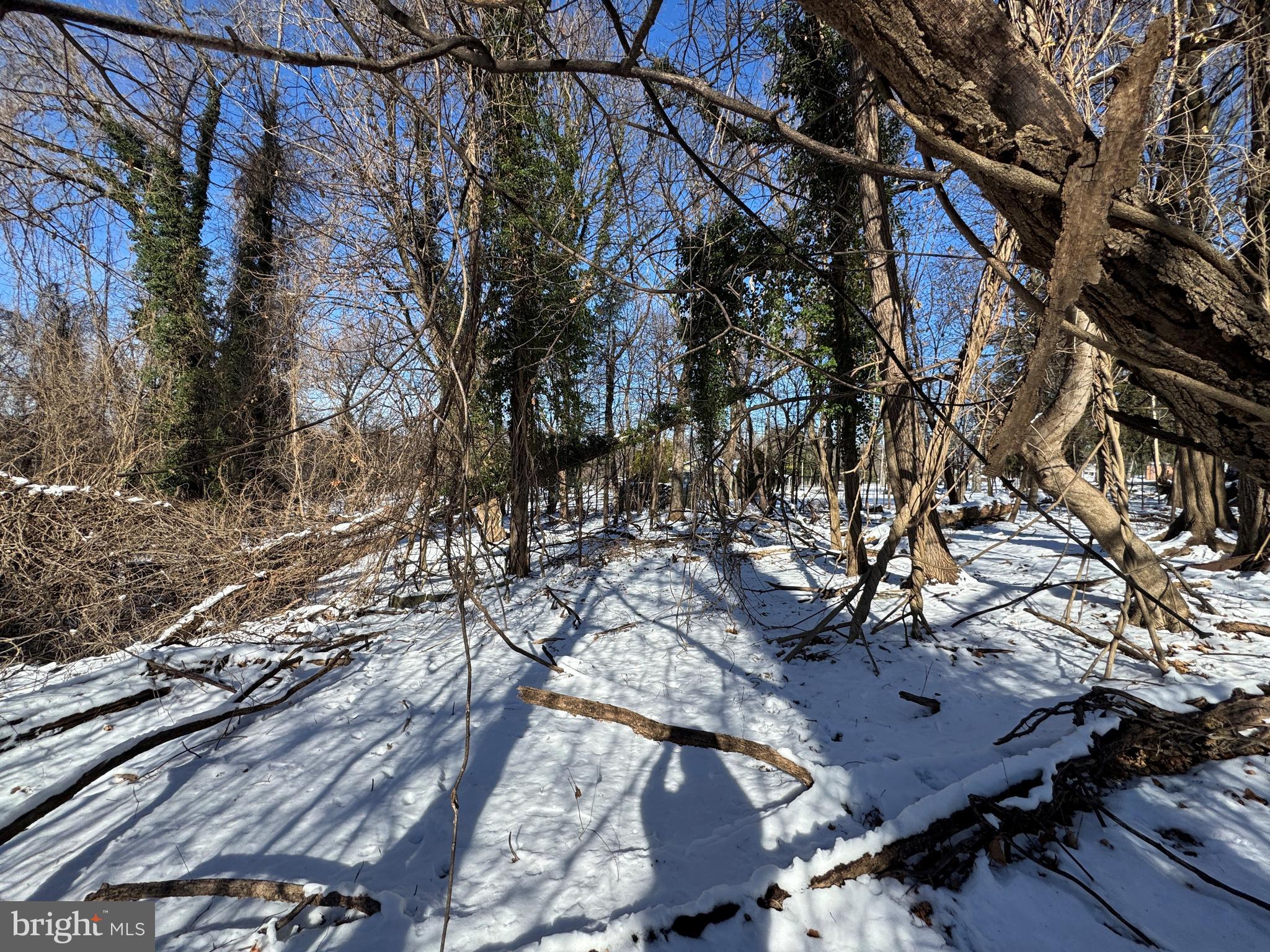 TRACT 2: 0.42+/- ACRES OAK STREET