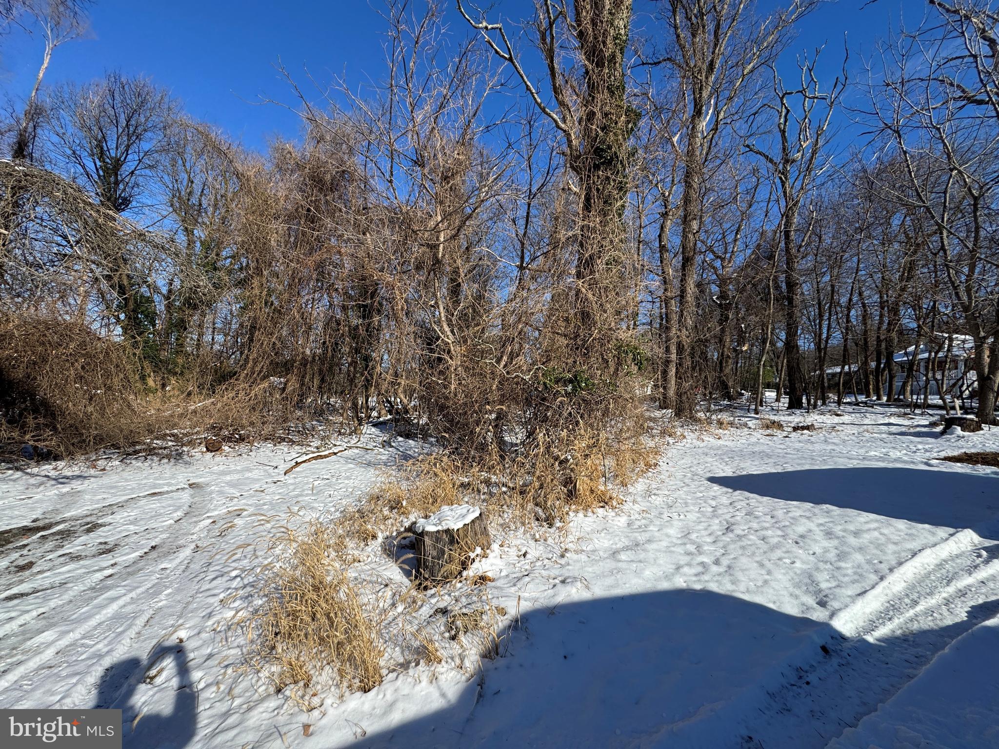 TRACT 2: 0.42+/- ACRES OAK STREET