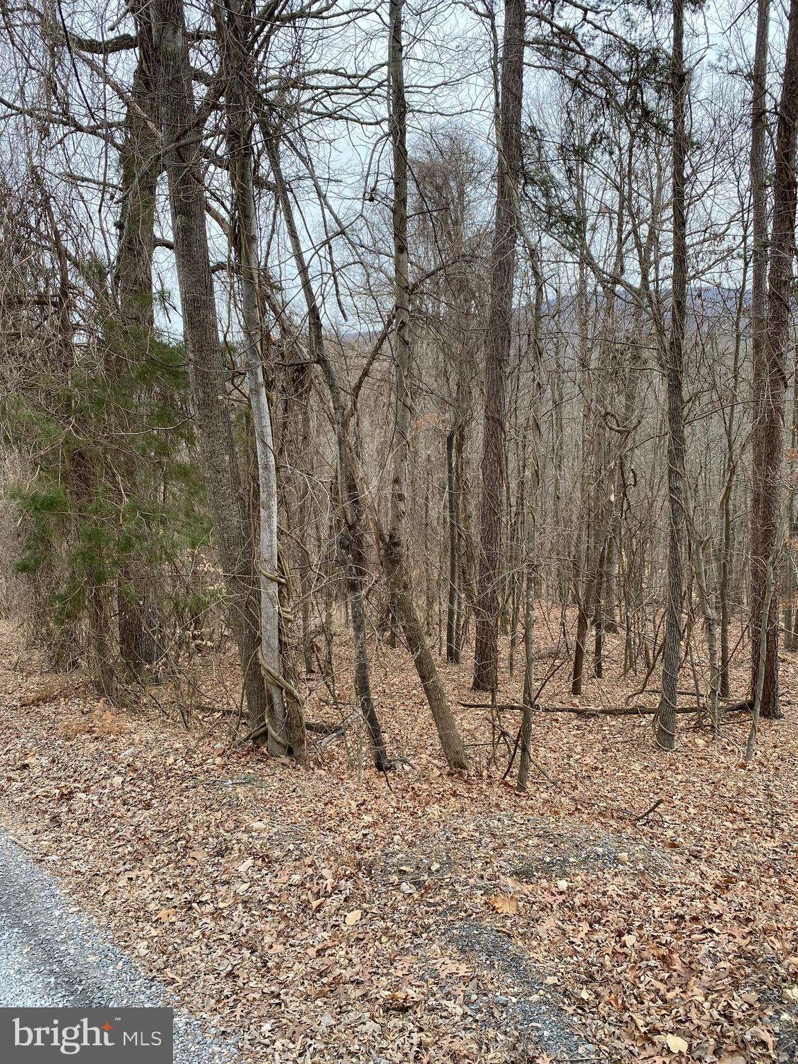 SHEN FARMS CAMELS BACK - Land