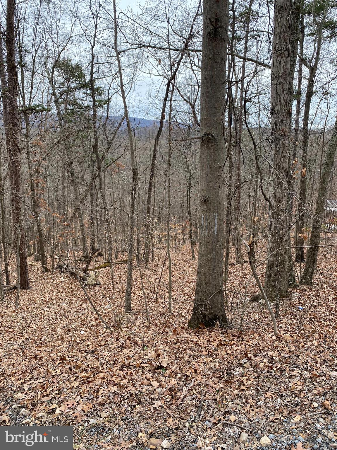 SHEN FARMS CAMELS BACK - Land