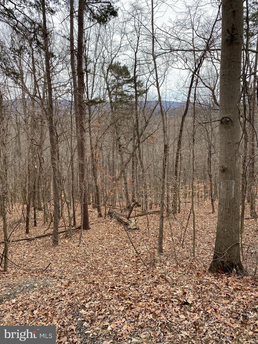 Property has been approved for a 4 bedroom home.