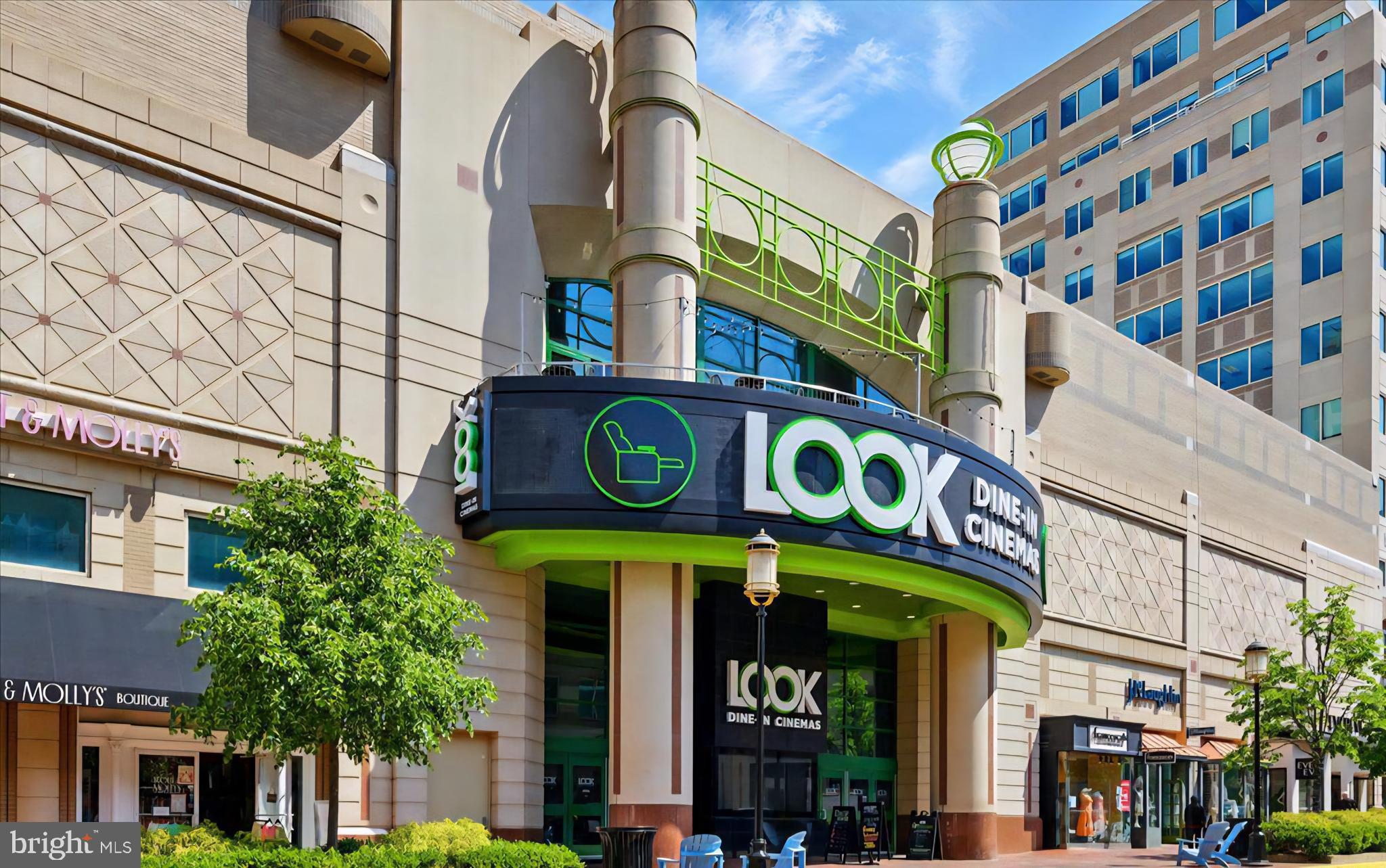 SAVOY AT RESTON TOWN CENTER - Residential