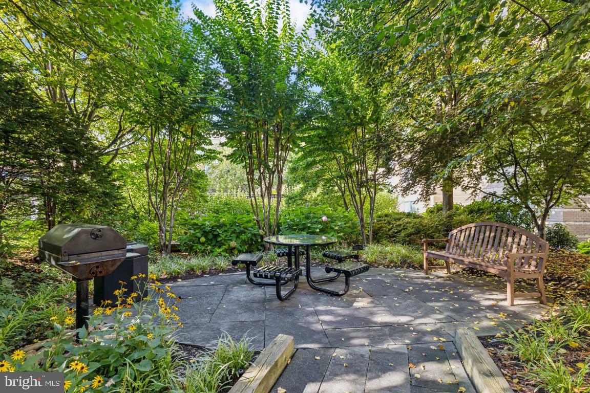 SAVOY AT RESTON TOWN CENTER - Residential