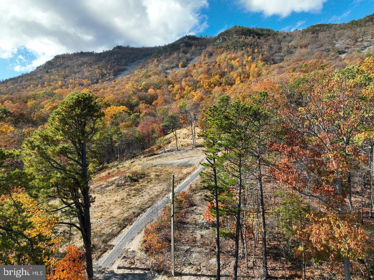 SHENANDOAH FOREST - Residential