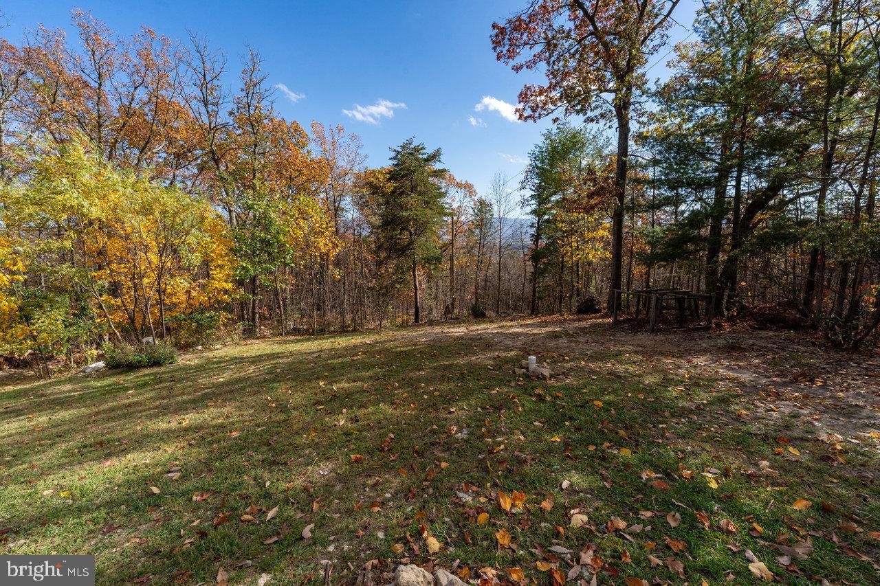 SHENANDOAH FOREST - Residential